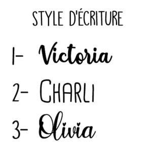 Choix style ecriture